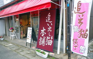 追い出し猫本舗（お店の外観）