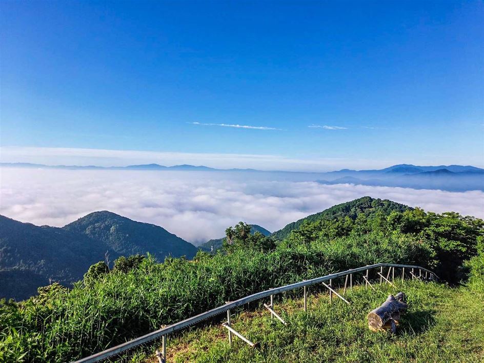 六ヶ岳の雲海