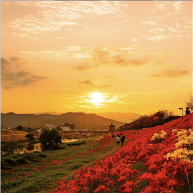 19．「秋の夕焼け散歩道」