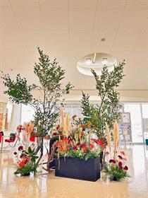 ヒガンバナ展示