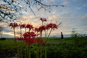 実行委員会特別賞