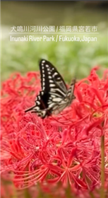 動画部門　優秀賞