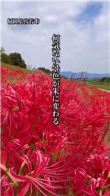 動画部門　優秀賞