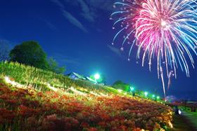 @laguna33.taka.mana0115「秋の花火」犬鳴川河川公園（本城）