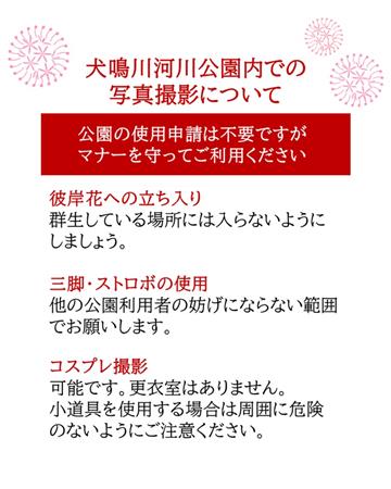 ヒガンバナ鑑賞の注意